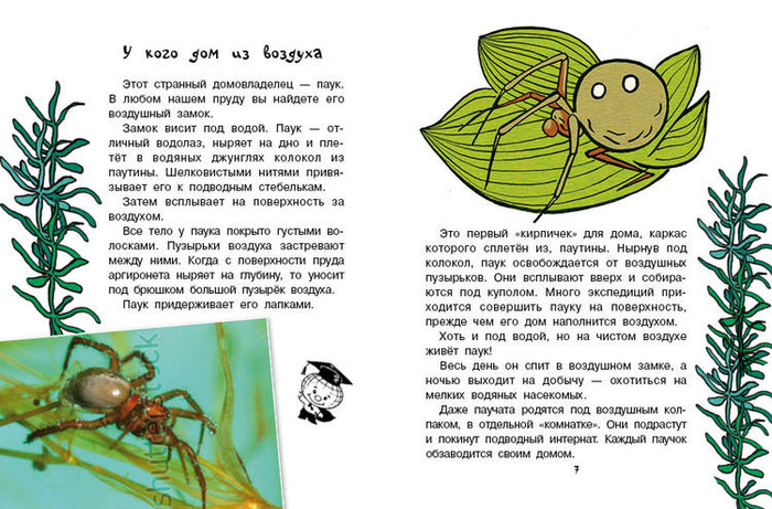 Кто без крыльев живет_03