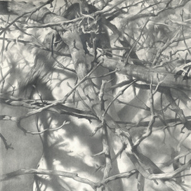 Весенняя нимфа