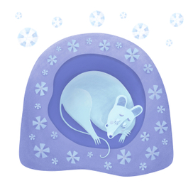 Летний сон в незабудках