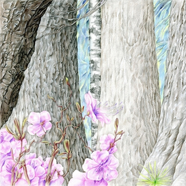 В. Распутин, Уроки французского 