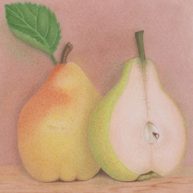 Груши