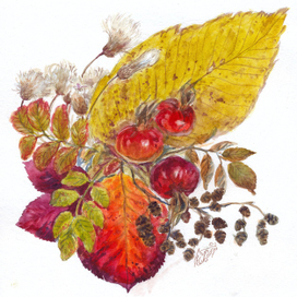 "Подарок Сентября"