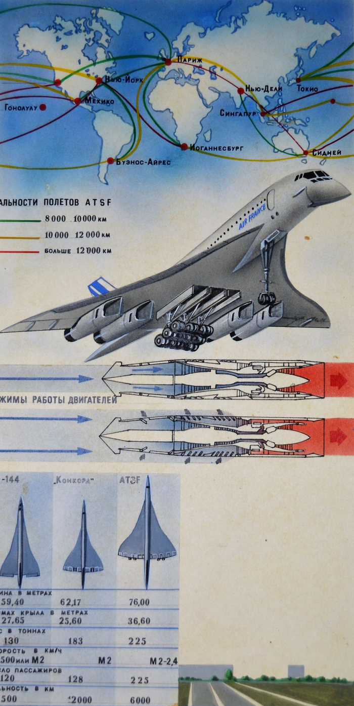 Такие огромные и при этом летают, причем очень быстро!