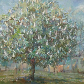 Цветущий каштан