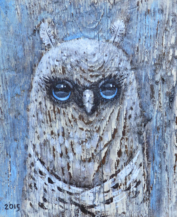 owl