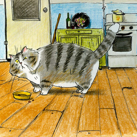 Коммунальный кот