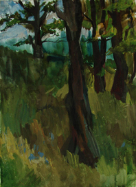 После дождя