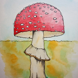 Мухоморчик