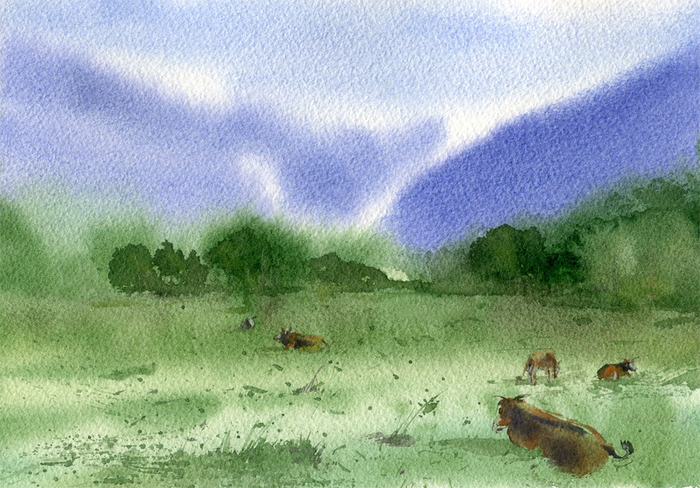 Утро в долине