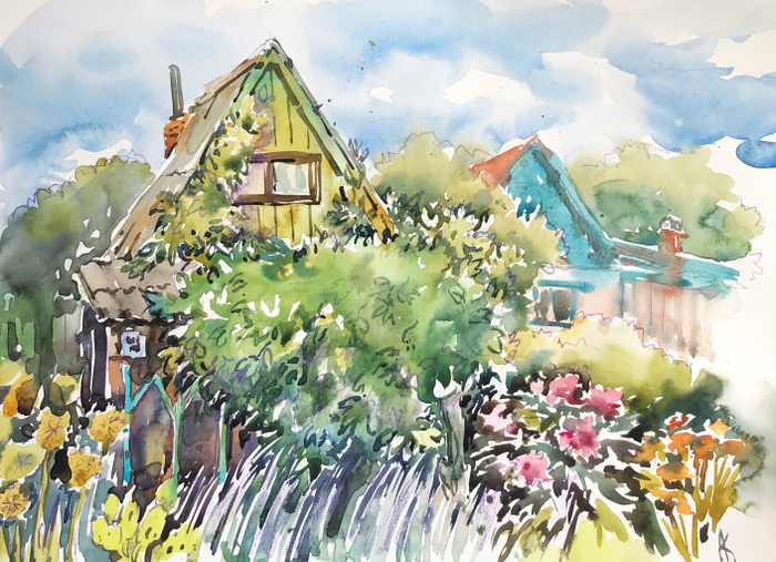 Дикий виноград 