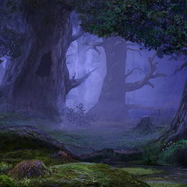 Дизайн локации: лес