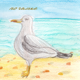 1 чайка гуляла по гальке