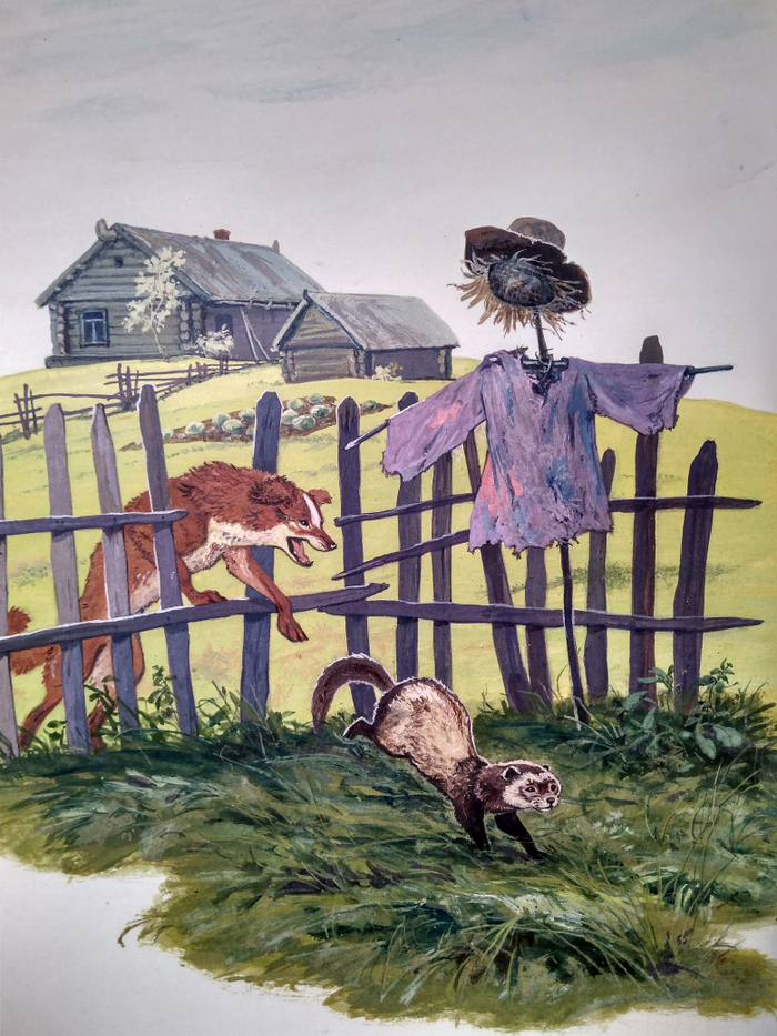 Илл. к рассказам и сказкам о природе В. Зотова (11)