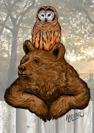 Мишка и сова в деревне