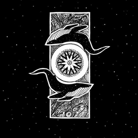 космические киты