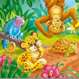 Про мартышку