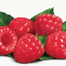 малина для &quot;фругурта&quot;