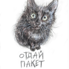 Отдай пакет