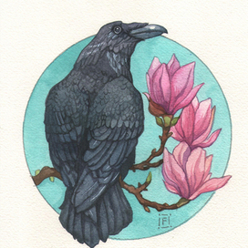 Ворон с магнолией