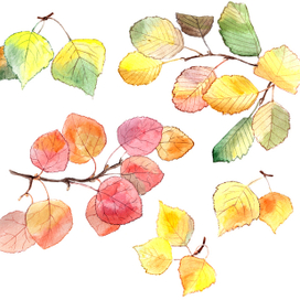 Осенние листья