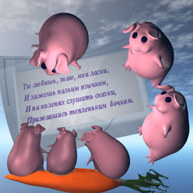 морские свинки читают письмо