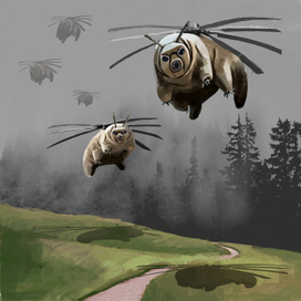 Шпионская тихоходка