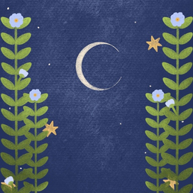 Сказочная ночь 