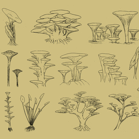 Золотой мир - растения и даариты