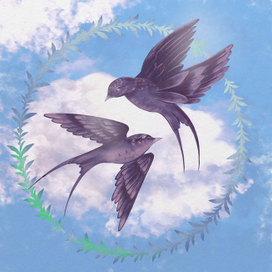 Весенний полет 