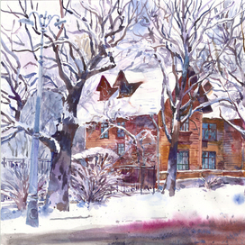 Дом Вильямса. Тимирязевка 3.