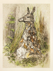 Сказки братьев Гримм. Пестрая шкурка