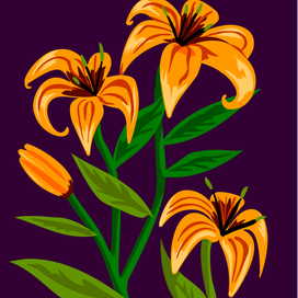 Лилии