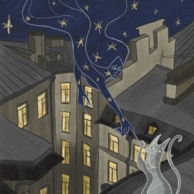 Ночь и котик