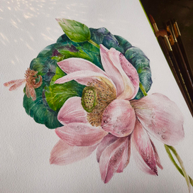 Лотос для дракона