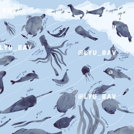 коллаж - животные северного полюса