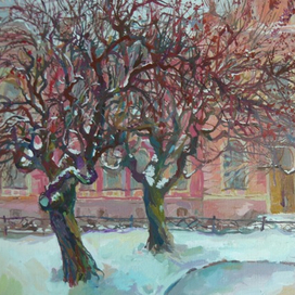 Зимние яблони. 