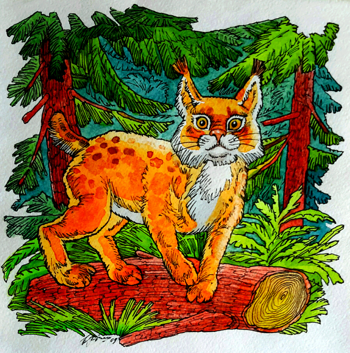 А. Загорулько. Т. М. Рысь