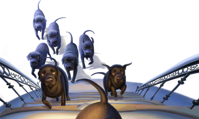 Черные собаки