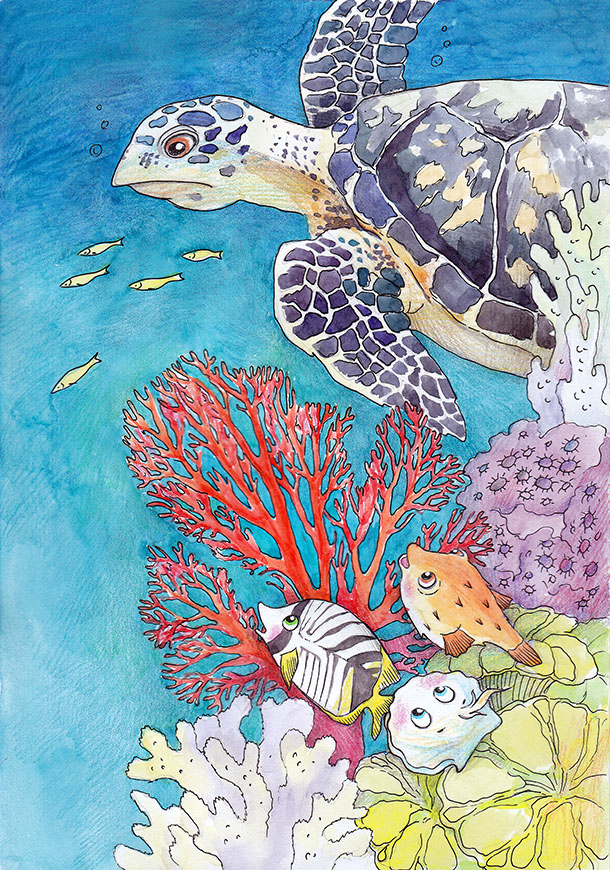 Разноцветные приключения. Черепаха.