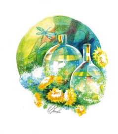 Вино из одуванчиков