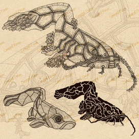 Графическая трасформация рыбы