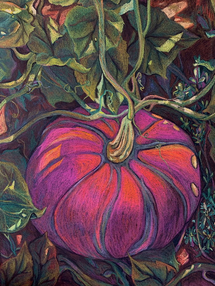 Карминовая тыква 