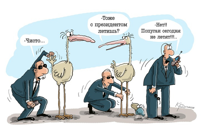 Путин. Журавли. Полет.