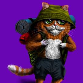 Походный кот