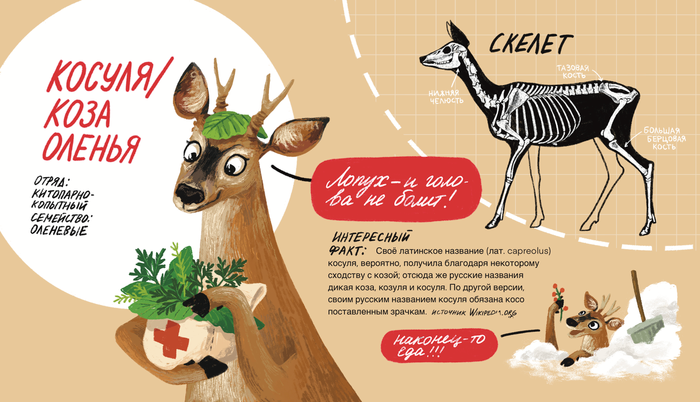 Иллюстрация для журнала о животных 