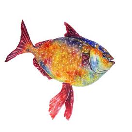 Красная рыба, иллюстрация