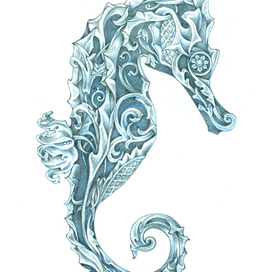 Морской конёк