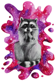 Сosmo-raccoon