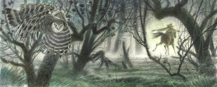 Рыцарь-эльф(12-13)