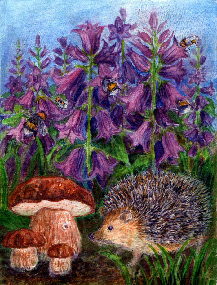 Колокольчики